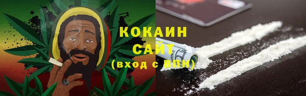 Альфа ПВП Аркадак