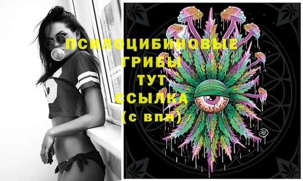 не бодяженный Армянск