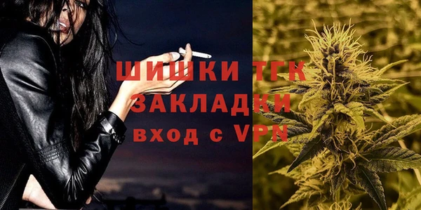 Альфа ПВП Аркадак