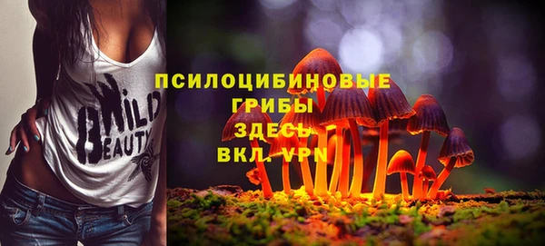 не бодяженный Армянск