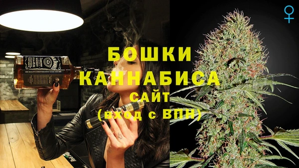 трава Арсеньев