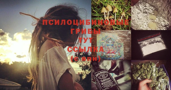 трава Арсеньев