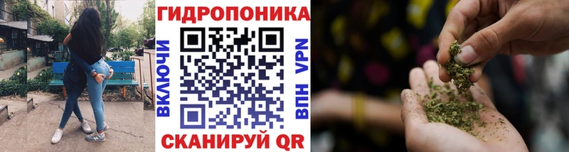 как найти закладки  Удомля  Марихуана индика 